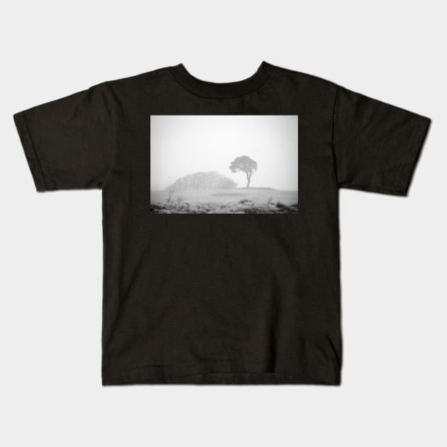 Lone pine in fog Kids T-Shirt by heidiannemorris